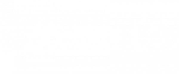 logo mini entreprise L blanc