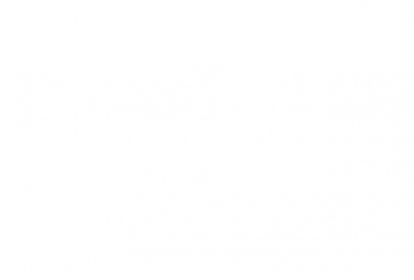 Festival des Mini-Entreprises 
